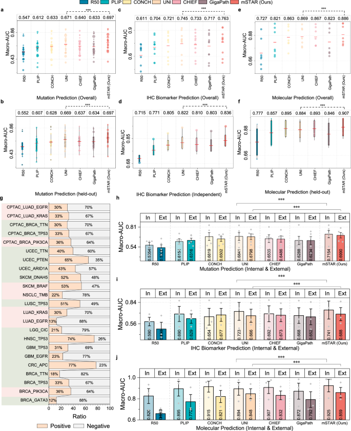 Fig. 4: Performance of molecular prediction on 40 datasets across 10 cancer types.