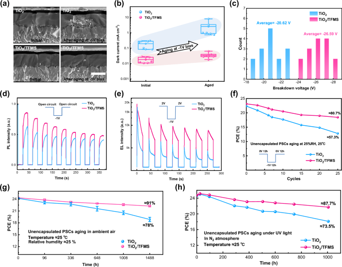 Fig. 4: Interface electrostatic repulsion improves PSCs’ reverse bias stability.