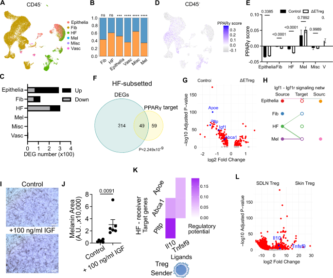 Fig. 5: Neonatal Tregs regulate the hair follicle transcriptome and PPARγ activity.
