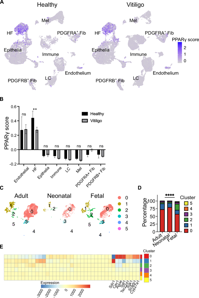 Fig. 6: PPARγ target genes are differentially regulated between human developmental stages and diseased states.