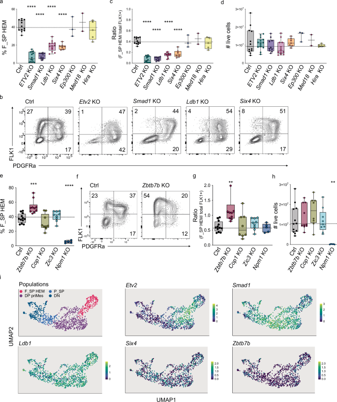 Fig. 3: Validation of Ldb1, Six4, Smad1, and Ztbt7b as regulators of HEM differentiation.