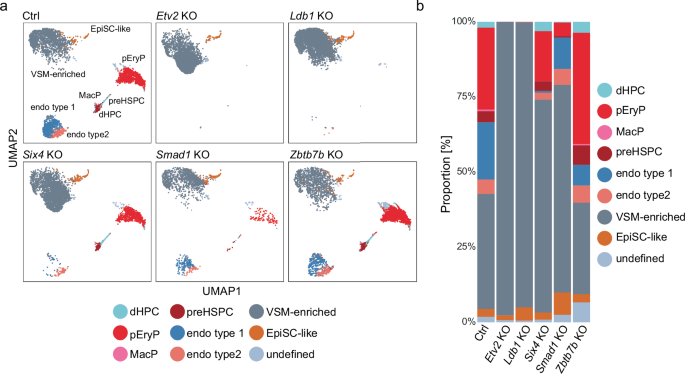 Fig. 4: Haematopoietic and endothelial differentiation potential in validated candidate genes.