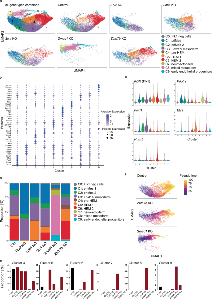 Fig. 5: Single-cell RNA-seq characterisation of mesodermal cells upon loss of core TFs.