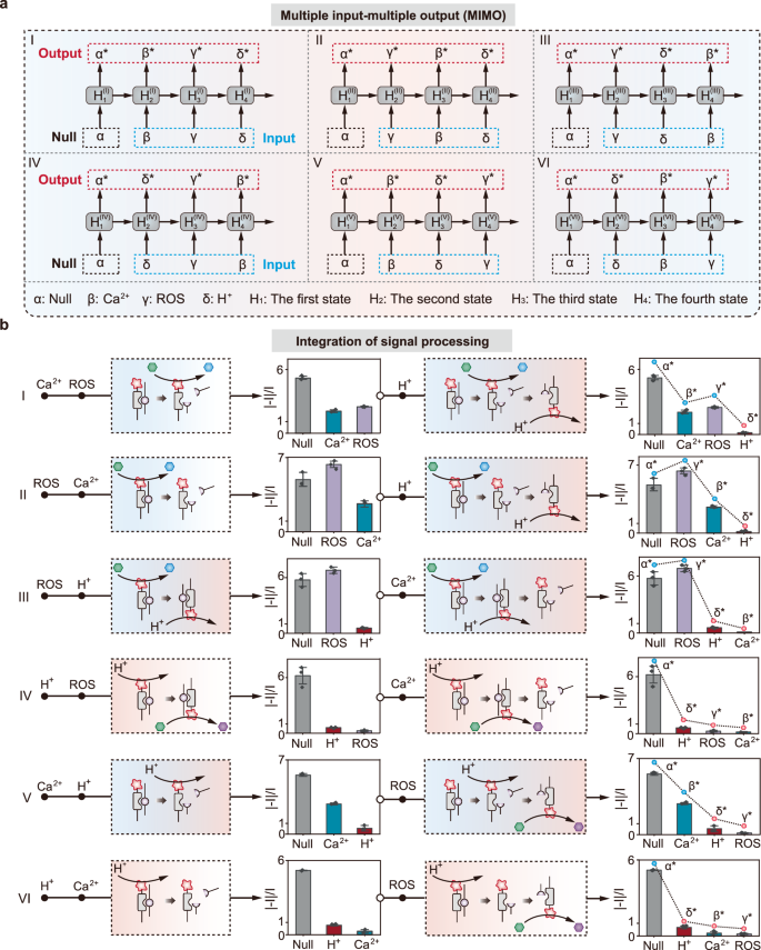 Fig. 3: Complex input-output configurations in chemically gated artificial nanochannels.