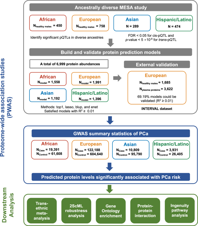 Fig. 3: The overall design of this study.