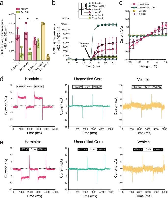 Fig. 5: AH5011 hominicin is a membrane-disruptive, pore-forming antimicrobial.