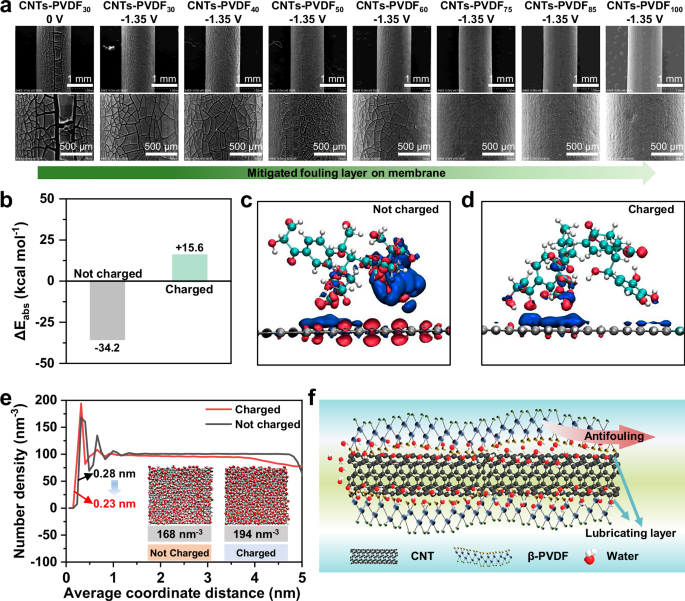 Fig. 4: Mechanisms of antifouling behavior by CNTs-PVDF membrane.