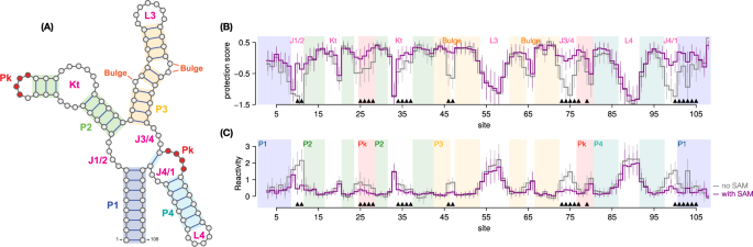 Fig. 10: Hallmark sites.