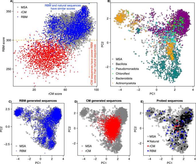 Fig. 4: Sequence generative models.