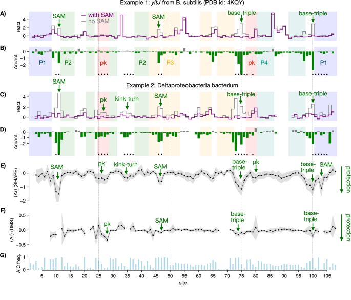 Fig. 5: Reactivity profiles of natural aptamers with chemical probing.