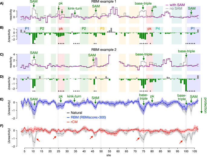 Fig. 6: Reactivity profiles of generated aptamers with chemical probing.