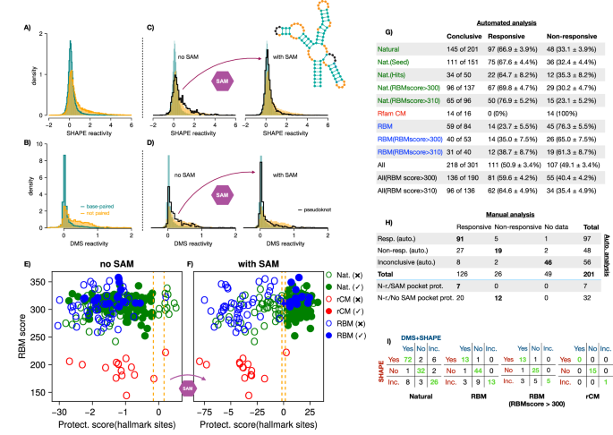 Fig. 7: Statistical analysis of SHAPE and DMS reactivities for natural and generated aptamers.