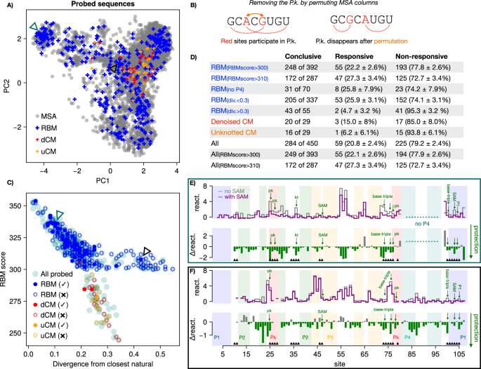 Fig. 9: Additional generation of sequences.
