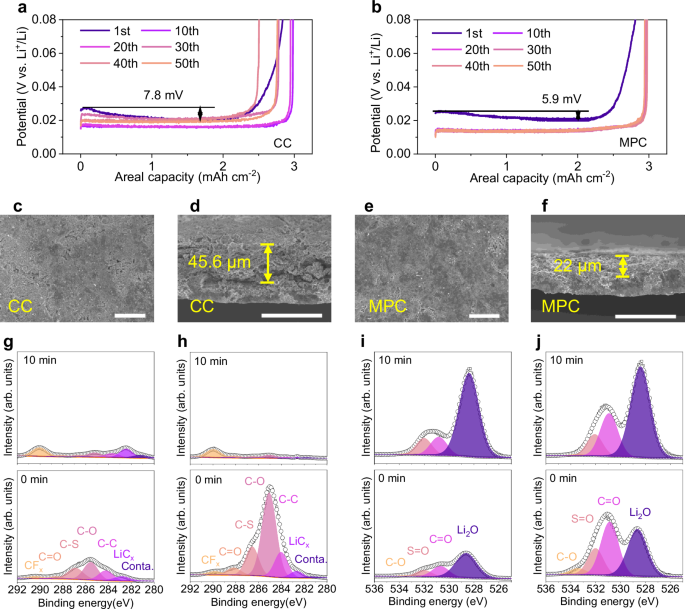 Fig. 3: Morphologies and residual composition of cycled Cu in Li | |Cu half cells.
