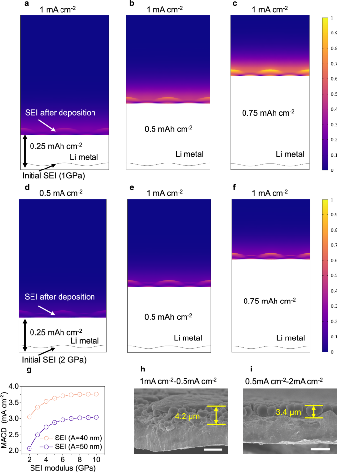 Fig. 4: Simulation for the stress accumulation of SEI and Li metal morphologies.