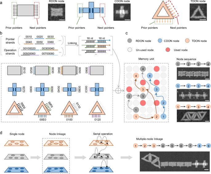 Fig. 1: Outline of DONLDS.