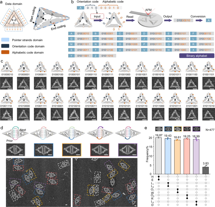 Fig. 3: Encoding of English Letters Utilizing TDON Nodes.