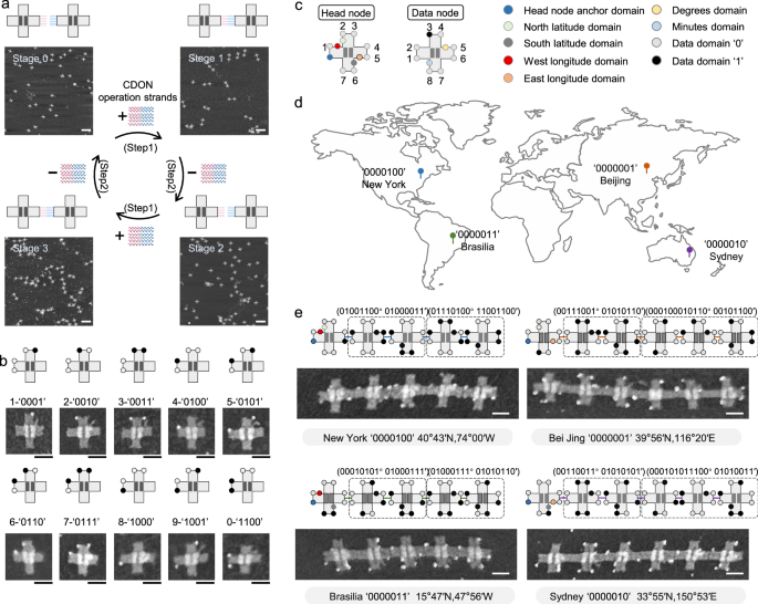 Fig. 4: CDON nodes for digital information storage.