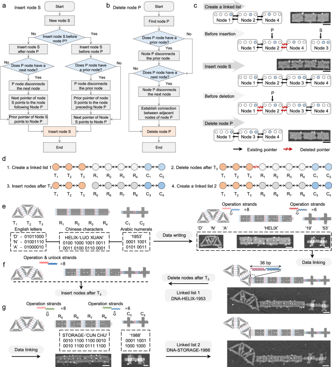 Fig. 6: The storage, deletion, and insertion of various types of information based on DONLDS.