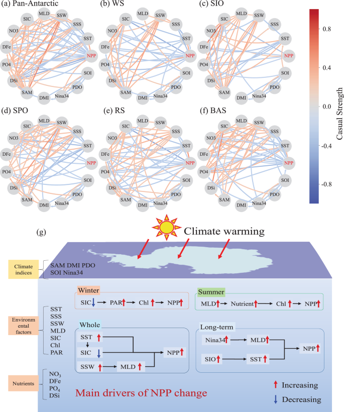 Fig. 5: Causal relationships between Antarctic net primary production (NPP) and climatic/environmental factors and schematic diagram of the mechanisms of Antarctic NPP trends.
