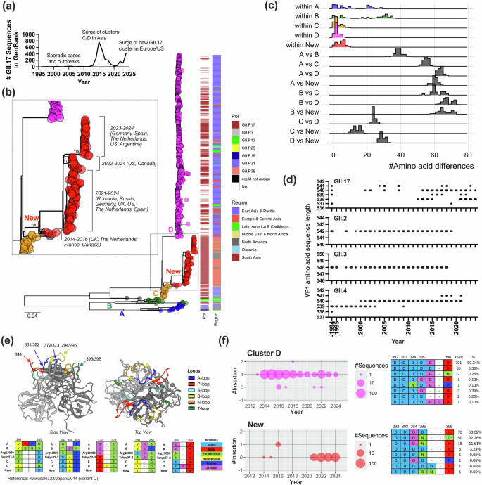 Fig. 1: Substitutions, insertions, and deletions on the VP1 shape the diversity of GII.17 noroviruses.