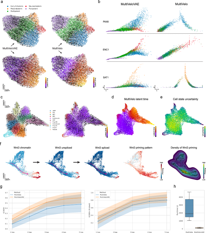 Fig. 3: Multi-omic velocity inference and comparison with MultiVelo.