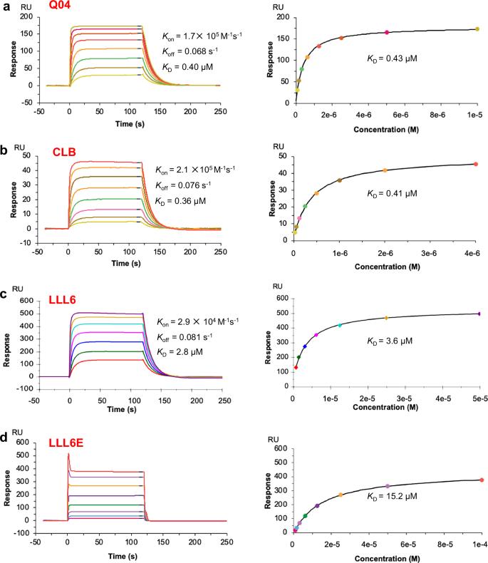 Fig. 1: Surface plasmon resonance analysis of SARS-CoV-2-specific TCRs binding to nucleocapsid epitopes.