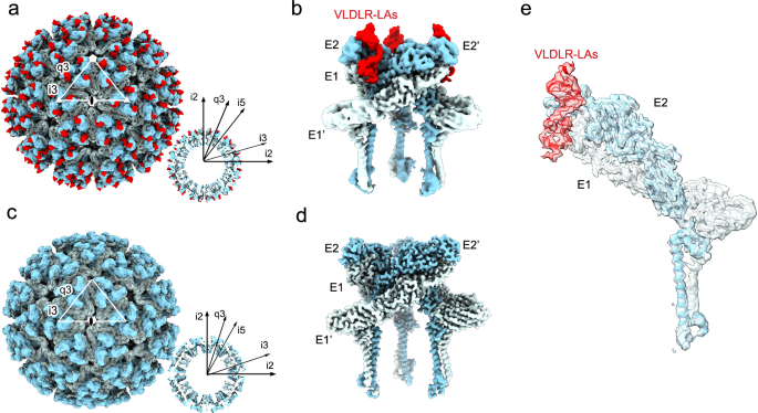 Fig. 1: Cryo-EM reconstructions.