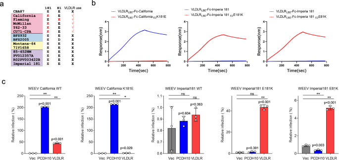 Fig. 5: Strain-specific residues analysis.