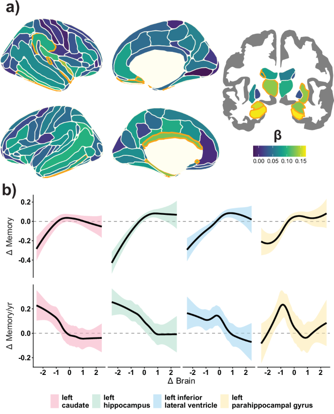 Fig. 1: Brain change – memory change associations.