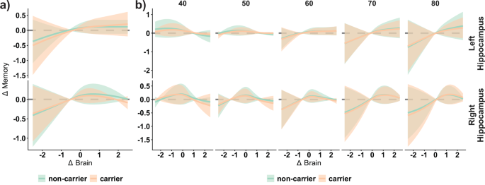 Fig. 6: APOE ε4 effect on brain change – memory change associations.