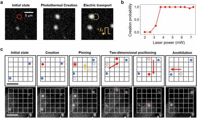Fig. 4: Fully programmable control of a magnetic skyrmion using a photothermal tweezer.