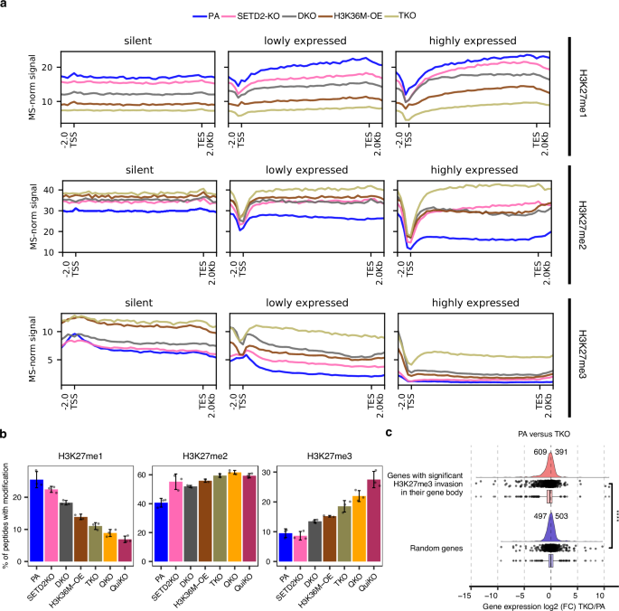 Fig. 3: Invasion of H3K27me3 into gene bodies following depletion of H3K36me.