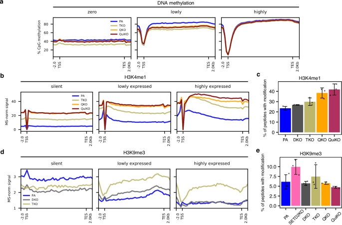 Fig. 4: Depletion of H3K36me induces changes in DNA methylation, H3K4me1 and H3K9me3 within gene bodies.