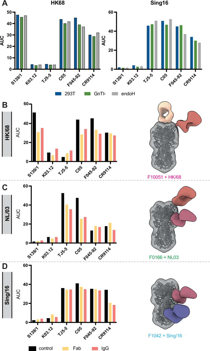 Fig. 4: Immunogenicity analysis of HK/68 and Sing/16 display changes in the epitopic landscapes of HA.