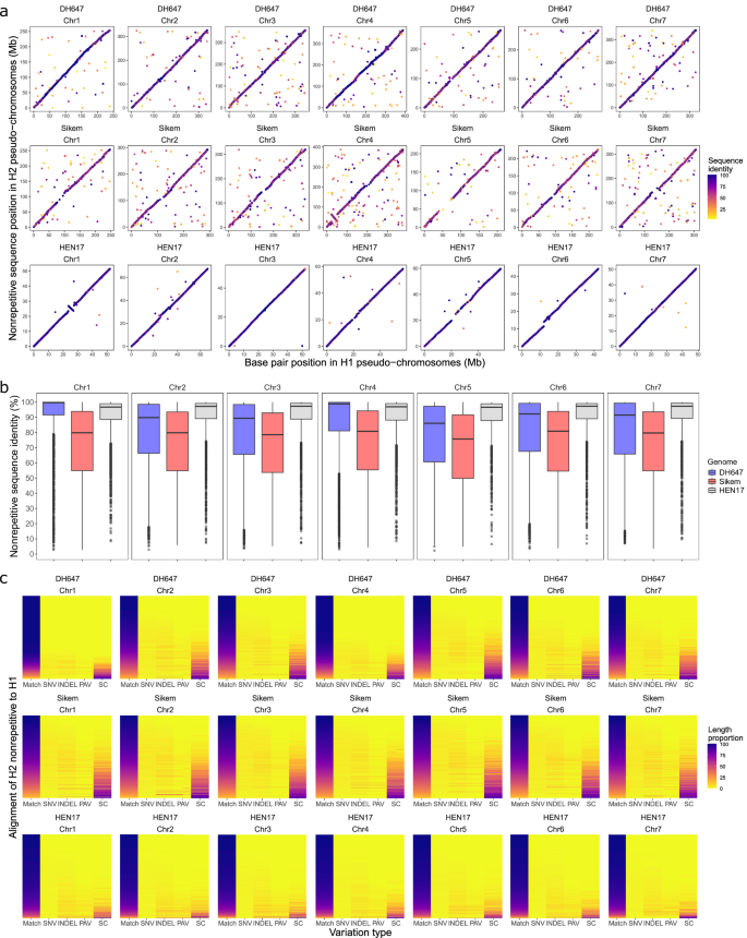 Fig. 4: Comparison of nonrepetitive regions between haplomes of the Lolium perenne genotype DH647, the L. multiflorum genotype Sikem and the Trifolium pratense genotype HEN17.