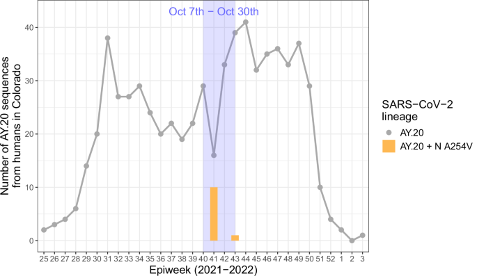 Fig. 6: The SARS-CoV-2 AY.20 lineage with the N A254V mutation (detected in lions and hyenas) was found in humans in Colorado during the early stage of the zoo outbreak.