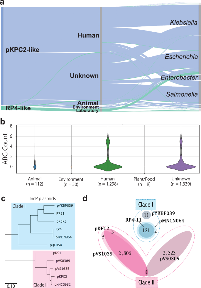 Fig. 3: pKPC2-like sequences in the global bacterial sequence dataset.