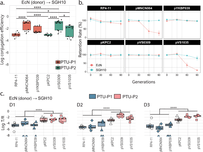 Fig. 4: Characterization of PTU-P1 and PTU-P2 plasmids.