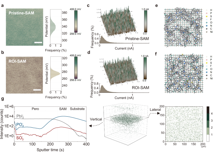 Fig. 2: Distribution of SAM on NiOx.