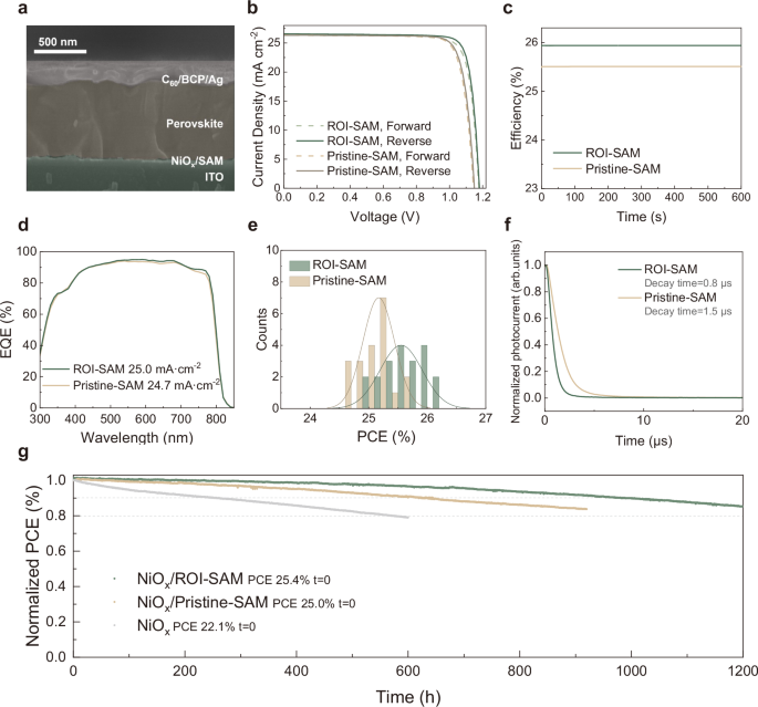 Fig. 4: Photovoltaic performance of perovskite solar cells.
