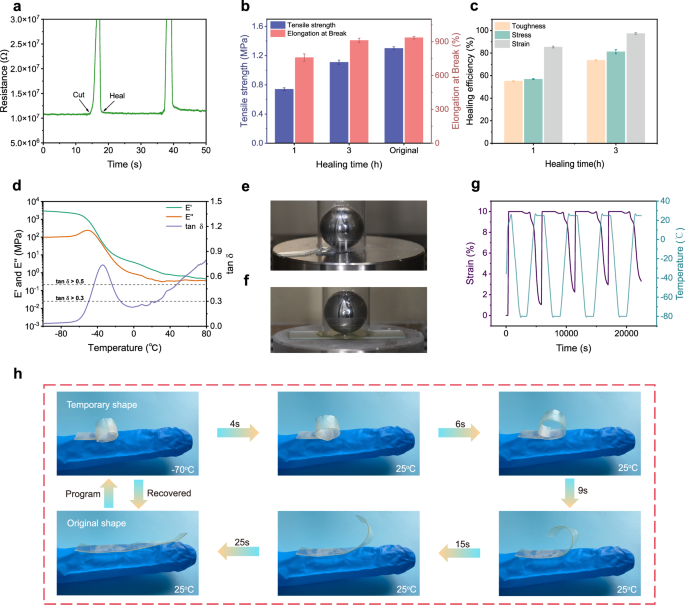 Fig. 4: Self-healing, damping and shape memory properties.