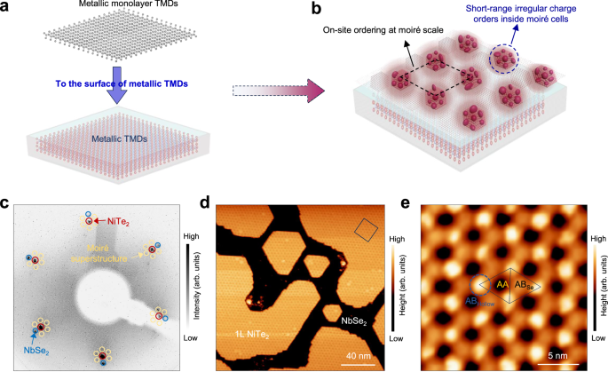 Fig. 1: Synthesis of moiré structure between NiTe2 and NbSe2.