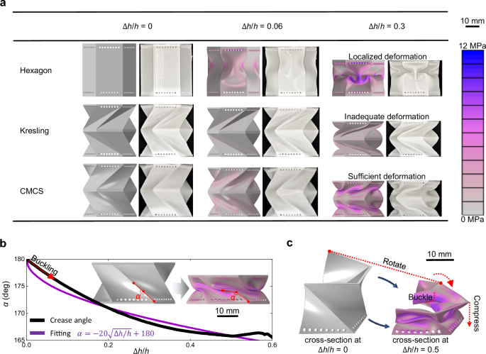 Fig. 2: Compression-torsion and buckling mechanisms of the CMCS metamaterial.