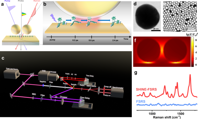 Fig. 1: Filming molecular movie through SHINE-FSRS.