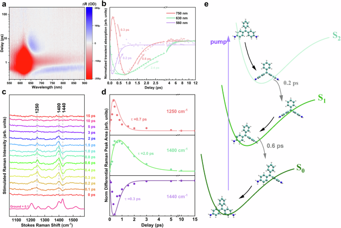 Fig. 3: Ultrafast dynamic of MG.