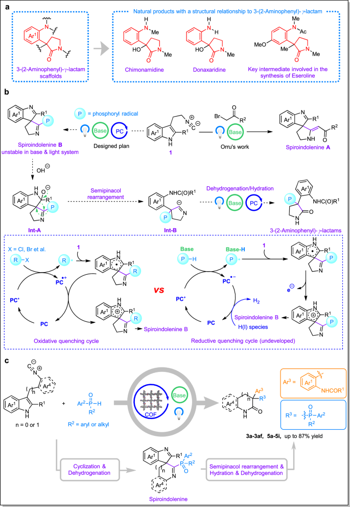 Fig. 1: The synthesis of 3-(2-aminophenyl)-γ-lactams via conjugated-engineered covalent organic framework photocatalysed cascade reactions.