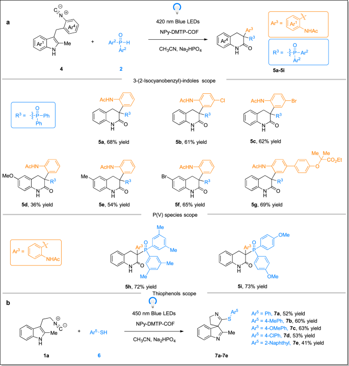 Fig. 4: Substrate scope for (a) photocatalytic reactions of 3-(2-isocyanobenzyl)-indoles with phosphine oxides and (b) photocatalytic cyclizations of tryptamine-derived isocyanides with thiophenols.