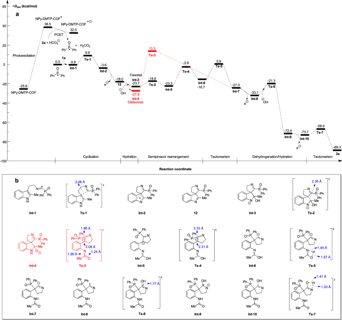 Fig. 7: The DFT studies of photocatalytic cascade reaction between 1a and 2a.