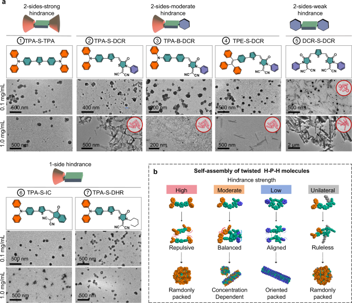 Fig. 3: Supramolecular self-assembly based on H-P-H designing template.